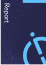 ReportsLogo